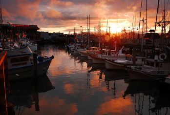 美国旧金山联合广场+金门大桥+旧金山艺术宫+渔人码头一日游【浪漫出行/光影与海岸的协奏曲】