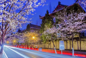 南京全城 一日游/专业导游服务/中/英/俄语/多种小语种xx【全程中文/英文/俄语/多种小语种服务，专业讲解，沟通无障碍。】