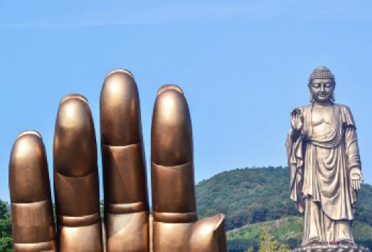 无锡灵山大佛+蠡园+梅园+鼋头渚+拈花湾包车一日游【包车游行程自由选择】
