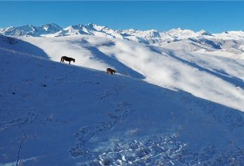巴尔斯雪山一日游【冰雪圣境/纯玩小团/上门接送】【巴尔斯，邂逅雪山之美！】