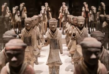 【DY—8人团】兵马俑+华清宫一日游/讲解（车+讲解+门票）【[专属小团服务] 严选小团规模，打造精致出游体验；配备在线管家随时响应需求，西安市三环以内上门接。】