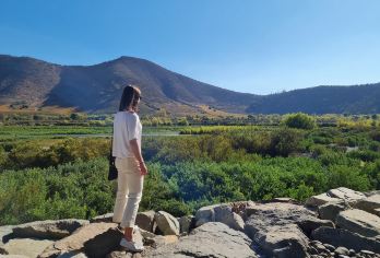 智利圣地亚哥出发 迈坡谷葡萄酒之旅(含4个葡萄园)【探索智利著名的葡萄酒之乡，田园小镇迈波岛(Maipo)】