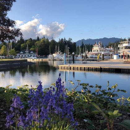 加拿大广场+斯坦利公园一日游/行程可调-悦享旅途