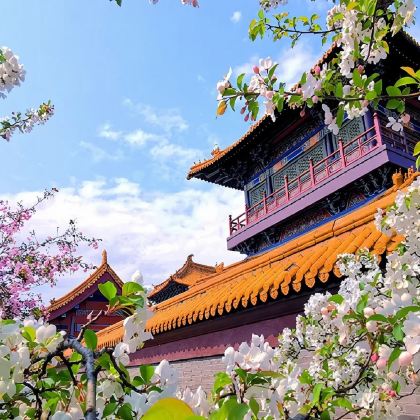 无锡鼋头渚+三国水浒城一日游【精选纯玩&上海出发】