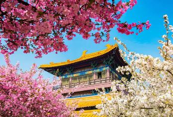 无锡鼋头渚+三国水浒城一日游【纯玩团&常州出发】【服务保障：10年+专业地接旅游，店铺累计1w+真实好评，一直被模仿，从未被超越，做纯玩我们是认真的！】