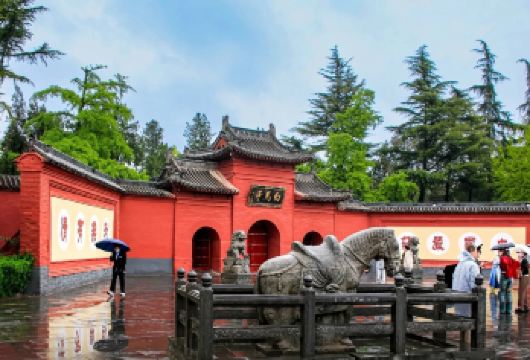 白马寺+洛阳博物馆+龙门石窟一日游【含导游讲解|洛博自行预约【佛教传入中国后的首座官办寺院，有中国佛教的“祖庭”和“释源”之称，距今1900年】