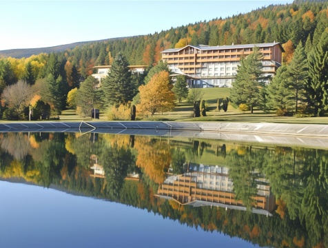 帕提赞酒店-官方