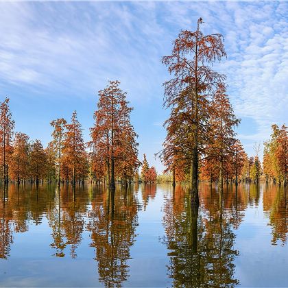滁州琅琊山景区+池杉湖国家湿地公园一日游【包车游】