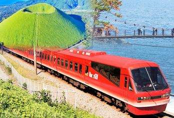 日本东京伊豆一日游：大室山+动物园+观海列车体验+城崎海岸【同时打卡大室山+仙人掌动物园，满足自然探索与亲子互动双重需求。】