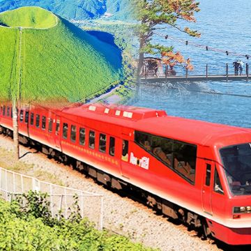 日本东京伊豆一日游：大室山+动物园+观海列车体验+城崎海岸