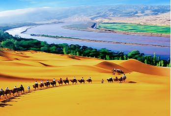 【中卫沙坡头一日游】沙坡头+99号公路+腾格里沙漠【0购物 不进店】