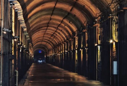 【8人团】白鹤梁+816工程+乌江一日游【[精华景点] 一日览尽水下碑林、地下工程与乌江画廊，行程充实高效，核心价值突出。】