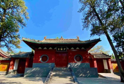 嵩山少林寺+塔林+武术馆+三皇寨一日游【纯玩|三环内上门接】【[专业专注]专注河南地接26年，服务百万游客，以口碑赢得客户认可】