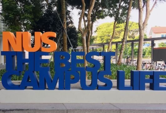 新加坡国立大学+南洋理工大学一日游  中文讲解陪同用车可选【暑假平日亲子带娃，提前让孩子体验大学生活，激发对大学生活的向往，教育环境和体验生活可以改变未来~】