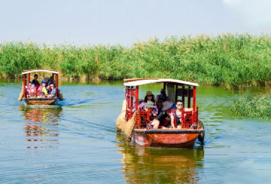 宁夏银川镇北堡西部影城+贺兰山岩画+沙湖生态旅游区一日游【[门票全含] 沙湖门票，大船票 镇北堡影视城门票 贺兰山岩画门票，电瓶车票】