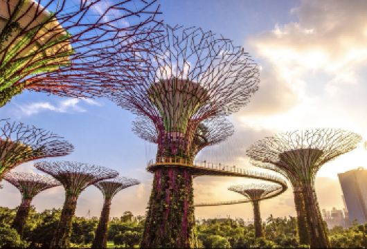 新加坡滨海湾花园+鱼尾狮公园-可定制【中文专车-舒适纯净】【中文专车出行，景点灵活调整，打卡经典，游玩自己定义，无需等待，专属贴心服务，尽享惬意旅程】