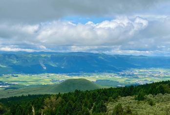 日本九州-福冈往返-大分海之卵水族馆-春日神社-大分精品游【专业行程定制，精选热门景点，高效游玩不走回头路，贴心服务保障，轻松】