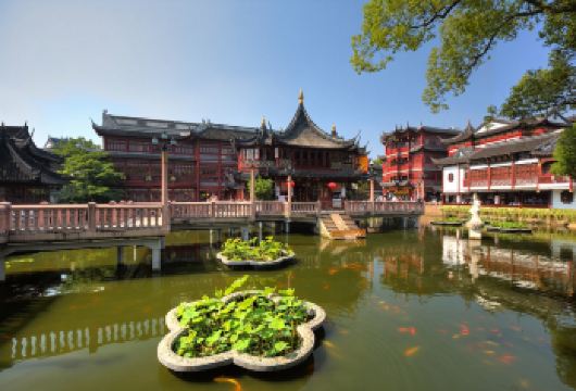 上海中英文旅行團：豫园+朱家角1日游【中英双语导览，解锁豫园古典园林与朱家角水乡双重风情】