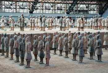 探访国宝熊猫（七仔）+兵马俑一日游-中/英文导游私享团【探访珍稀的棕色大熊猫“七仔”，不止有熊猫，还有金丝猴、羚牛、朱鹮，与熊猫并称秦岭四宝，还可看小熊猫】