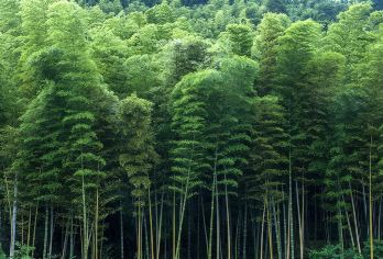 【重庆永川-乐和乐都-深度一日游】【专车服务，上门接送，纯玩0购物。】