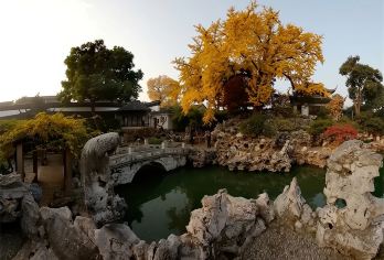 【纯玩】苏州狮子林+拙政园+寒山寺+虎丘+山塘街一日游【纯玩无购物，“小桥、流水、人家”，宛若置身于山水墨画之中】