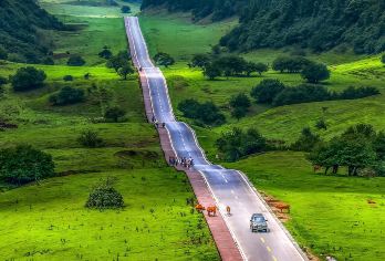 武隆仙女山国家森林公园一日游纯玩【自由行深度嗨游】【含仙女山门票+树顶漫步门票+小火车】