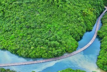 狮子关+伍家台+宣恩夜景一日游【纯玩-可选小团-赠景区景交】【[自营景区直通车≈没有中间商-纯玩团]-恩施城区上门免费接送】
