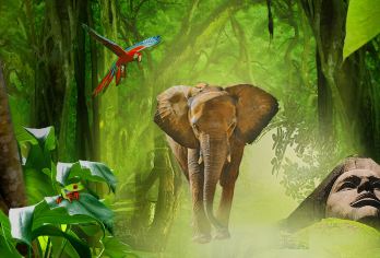 野象谷+基诺山寨一日游【品质优选团丨纯玩无购物丨品基诺小吃】【[关于景区]体验当地基诺族文化和野象探秘，深度体验来自于太阳民族文化】