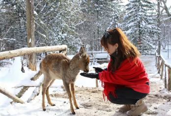 中国雪乡一日游【一条龙服务，让您期待而来满意而归】