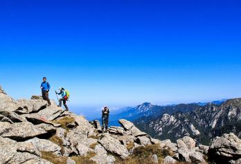 朱雀森林公园一日游（高山草甸、冰晶顶）【高山草甸、冰晶顶西安周边爬山纳凉好去处】