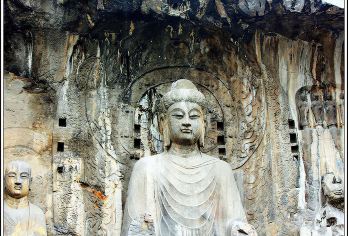 少林寺+龙门石窟【1-16人专车专导+武术表演+导游精讲】【[轻奢小团]专车专导独立成团， 全程无购物轻松出游。】