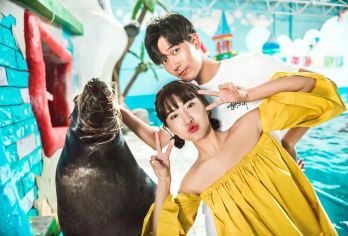 从蓬莱出发：蓬莱欧乐堡海洋极地世界一日游【可免费上门接站】【海洋极地世界汇集了北极熊、白鲸、海豚、海狮等成千种海洋生物】