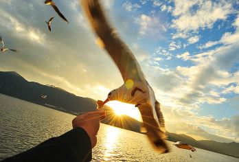 石林风景区+滇池一日游【8人小团+二环上门接送+送过桥米线】【[品质旅游]全国服务大奖-品质认证-专业一手地接-好评优选-无购物隐形消费】