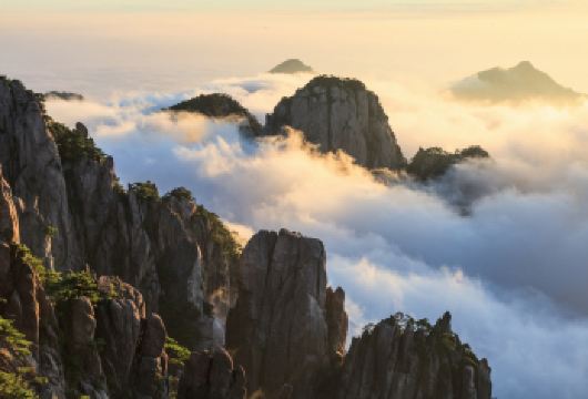 黄山风景区一日游【常规团/小团 可选市区/宏村/汤口出发】【服务保障：市区酒店上门接送，专业导游陪同，纯玩无购物】
