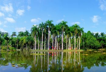 植物园+曼远村一日游【可拼15人西区讲解·市区接送】【[轻奢纯玩]轻奢小团，真纯玩无购物，老司机护航，随叫随停，行程更自由！】