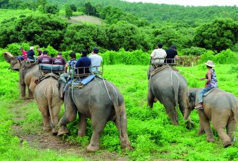 清迈纳财大象营一日游【骑大象/大象洗澡+粘粘瀑布含午餐】【[亲近萌象]保护区区共养育7只小象22只大象，陪大小象洗澡玩耍】