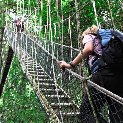 从吉隆坡出发：塔曼尼加拉国家公园探险一日游（团体游）