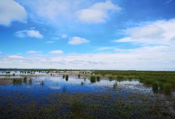 九曲包车「高铁站&九寨出发」 往返 商务 轿车 任意发车时间【可选包车：高铁站出发往返包车｜九寨沟出发往返包车】