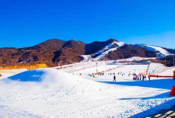 照金国际滑雪场【周末4小时门票+直通车+初级教学】纯玩一日游【[1]雪道驰骋，趣玩无界，享纯玩乐趣】