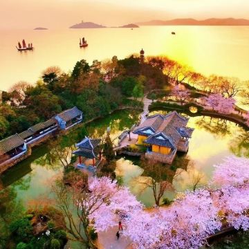 上海往返：鼋头渚+惠山古镇+南长街｜无锡樱花-多语种定制包车