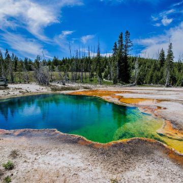 美国黄石国家公园老忠实间歇泉一日游/行程可调-可定制多日游