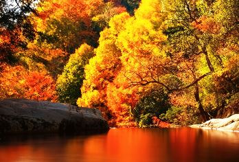 米仓山包车游【（汉中出发）光雾山 米仓山 十八月潭 包车游】【包车独立发车，按照人数选择车型，价格指的是一辆车的价格，独立包车不拼团】