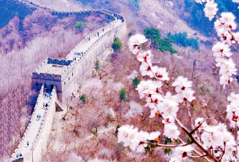 北京慕田峪长城一日游【8-10点流水发车◆可升级独立包车】【[臻享品质]24H专业客服在线，私密性高、灵活性强、一家一团、路线多样化带给您不一样的旅行体验！】