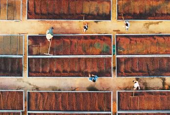 普洱太阳河森林公园+炬点咖啡私家小团【接送+亲子+咖啡讲解】【[萌宠亲密互动]白犀牛、梅花鹿、小熊猫、熊狸、蜂猴、猕猴、网红长臂猿丁丁等大自然精灵；】