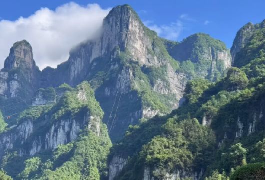 张家界必看景点|天门山奇观与张家界七十二奇楼私家日游【体验世界*高的天然拱门——天门洞，其高度达131.5米。 漫步于海拔1430米惊险刺激的玻璃栈道，在透明步道上俯瞰悬崖绝壁，体验令人心跳加速的壮丽景色。 探索夜色中独特的张家界七十二奇楼——世界*高的吊脚楼建筑，拥有璀璨灯光秀与本土文化风情。】