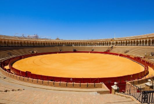 塞维利亚主教堂+王宫+西班牙广场+黄金塔+塞维利亚斗牛场【精品包车，私享空间，上门接送，轻松出行】