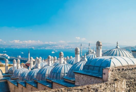 土耳其圣索菲亚大教堂+清真寺+加拉塔大桥| 酒店接送包车一日【[正规旅行社]拥有正规出境旅行社资源，行程安全游保障】