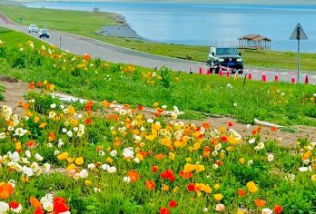 【5-7座包车+车进景区】赛里木湖/恰西/库尔德宁任选其1【6H超长游览+上门接送+开车进景区（可免排队免换乘）+专业司导+活动时间充足】