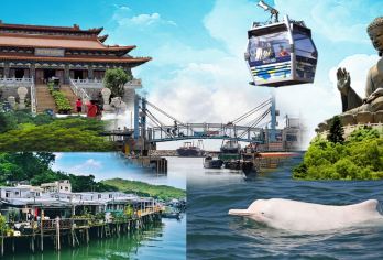 大屿山大澳渔村深度探索：缆车快线畅游天坛大佛, 来回市区接送【游览宝莲禅寺及著名的天坛大佛, 在宝莲禅寺享用轻便斋菜 豪华旅游巴来回市区到大屿山, 包价值$295来回昂坪360缆车票 (特快通道） 参观传统大澳渔村, 观赏中华白海豚 (观赏白海豚为自费项目)】