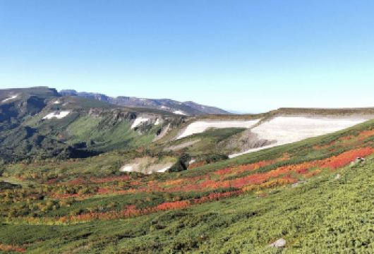日本北海道札幌-洞爷湖-室兰蓬莱门【中文专车 悦享旅途】【中文专车出行，景点灵活调整，打卡经典，游玩自己定义，无需等待，专属贴心服务，尽享惬意旅程】